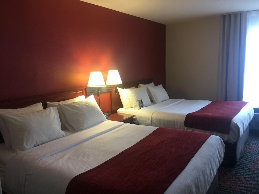 Comfort & Calgary