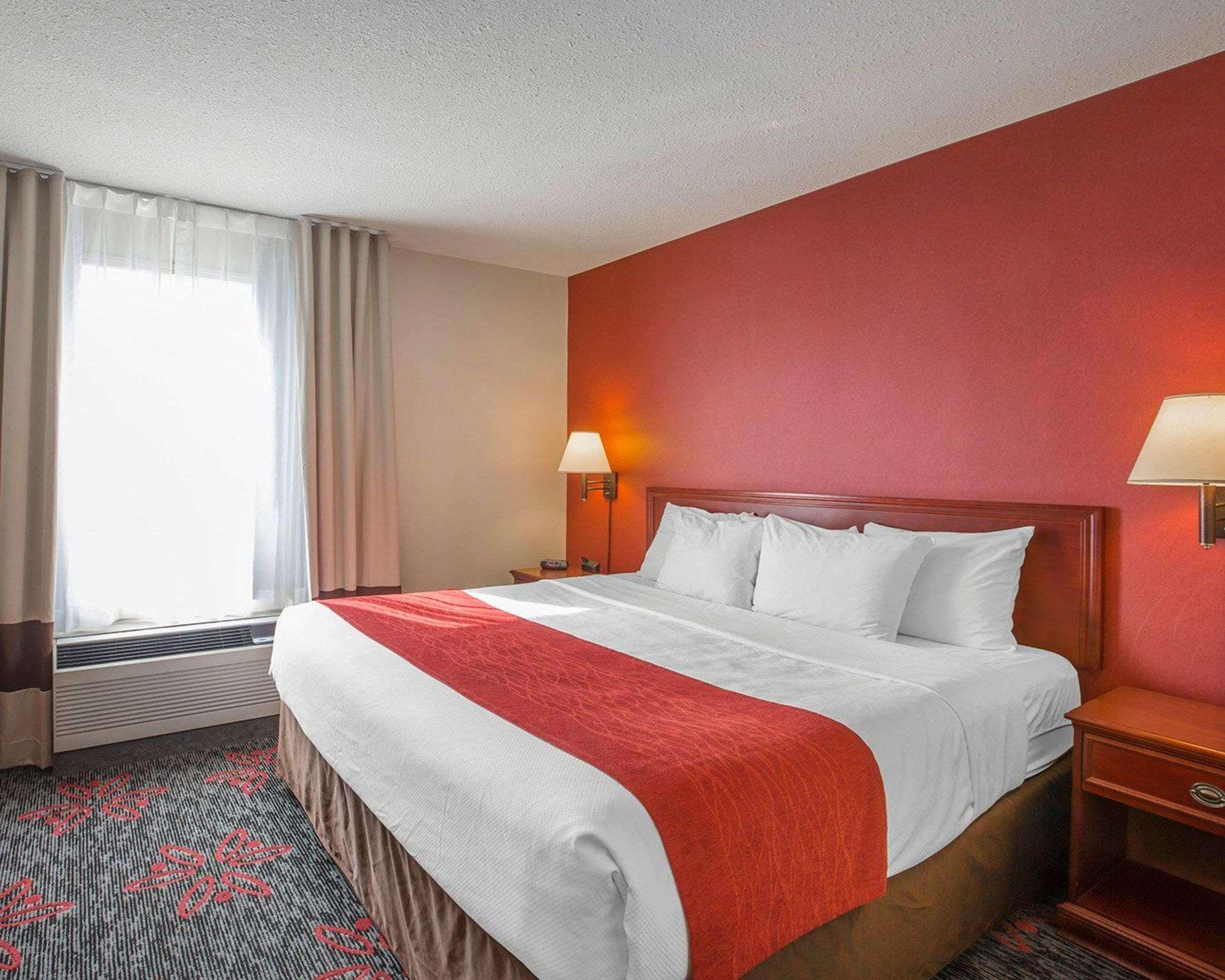 Comfort & Hotel