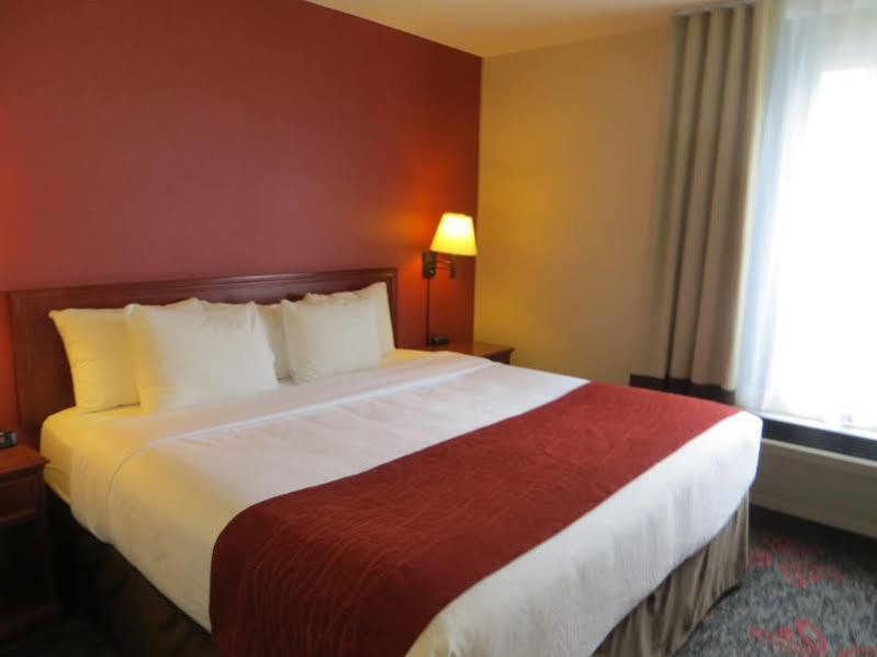 Comfort & Calgary